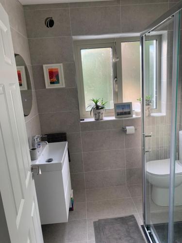 a bathroom with a toilet and a sink and a window at Village 3 bed Town House in Dublin