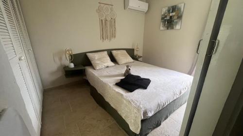 a bedroom with a bed with a cat sitting on it at Manbana 322 in Grand-Bourg