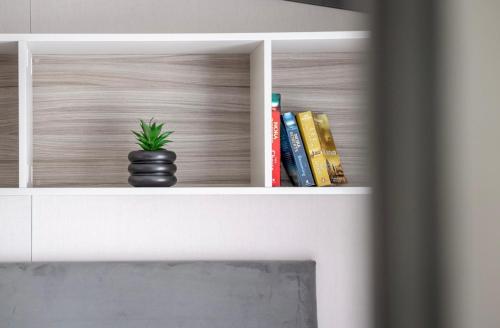 a plant in a pot on a shelf with books at Lodge 17 St Andrews in St. Andrews
