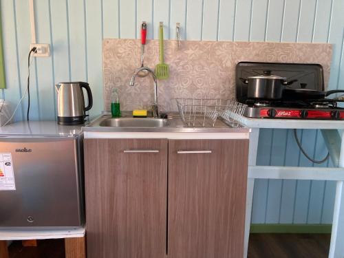 Dapur atau dapur kecil di Los Canelos de Cayumapu