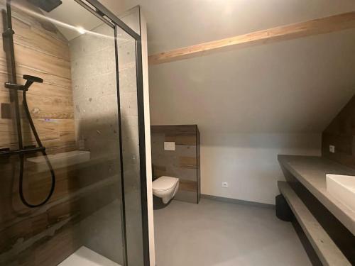 une salle de bain avec douche et toilettes dans l'établissement La mezzanine, à Foucherans