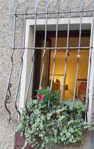 Φωτογραφία από το άλμπουμ του Linda's Holiday Home σε Roccastrada