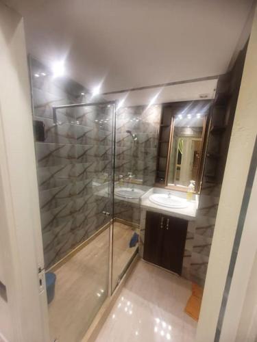 Vannituba majutusasutuses Grand et magnifique appartement