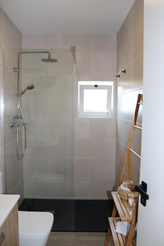 a bathroom with a shower with a toilet and a window at Villa Cerva Home in Cerva