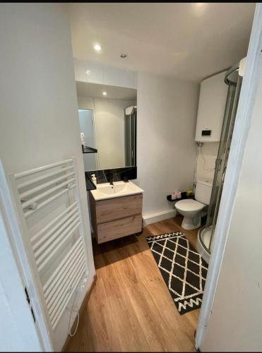 une salle de bain avec un lavabo, des toilettes et un miroir dans l'établissement Élégance au cœur de Marseille, à Marseille