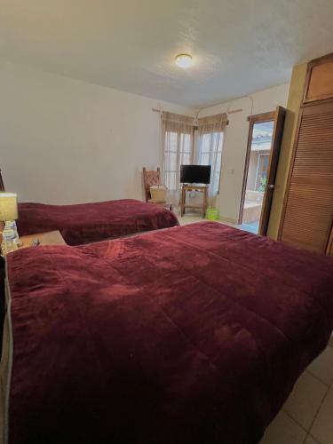 a hotel room with two beds and a television at Casa San José in Pátzcuaro