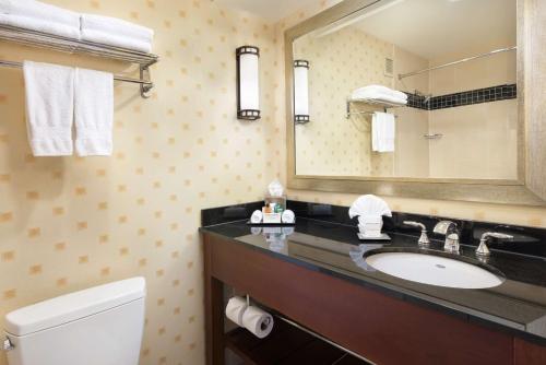 a bathroom with a sink and a mirror and a toilet at Hilton Chicago O'Hare Airport in Rosemont