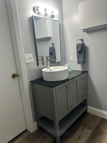 a bathroom with a sink and a mirror at Pelican Motel in Pelican Rapids