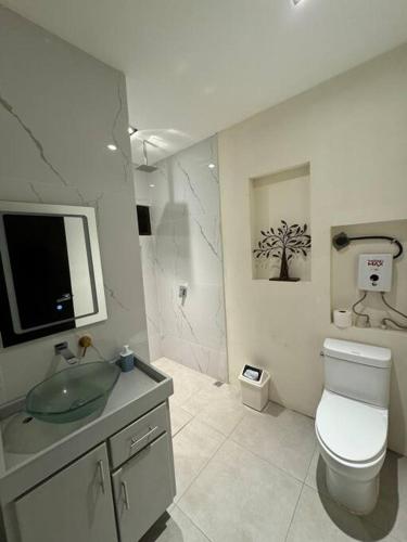 アラフエラにあるbambu houseのトイレと洗面台を備えた白いバスルーム