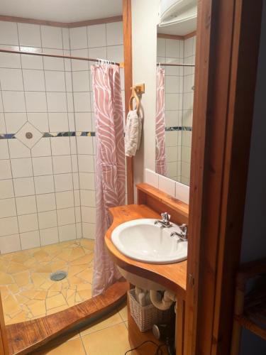 a bathroom with a sink and a shower at Reefers in Kuaotunu
