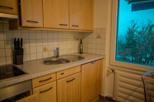 a kitchen with a sink and a window at Sky Paradise 20min to zurich city centre in Widen