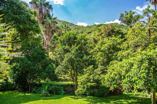 Gallery image of Casa Galeana- Tropical 1-BD 1-WC Mountain Top Luxury Suite with Stunning Views in Ajijic