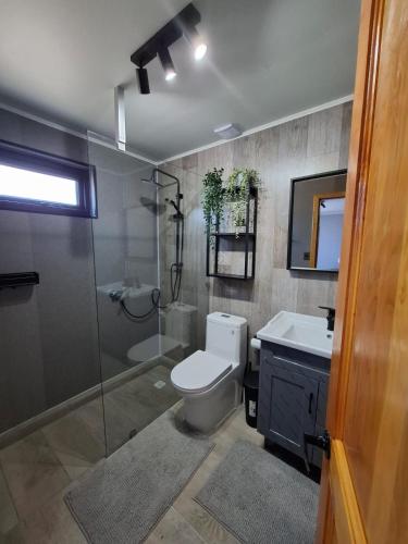 a bathroom with a shower and a toilet and a sink at Hotel Boutique 501 in Los Ángeles