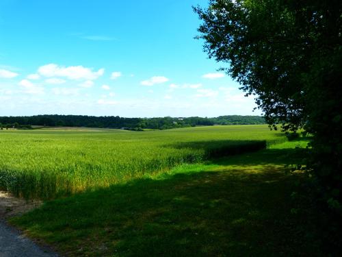 a field of green grass next to a road at Le Petit Verger in Grumesnil