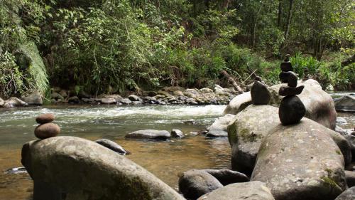 Un paisaje natural cerca del camping