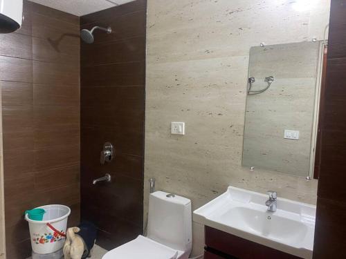 Un baño con inodoro, lavabo y espejo. en Tara Luxury Homes 2BHK, en Solan