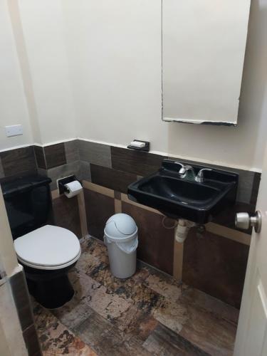a bathroom with a toilet and a sink at Bonito Departamento Amueblado y se factura in Guaymas