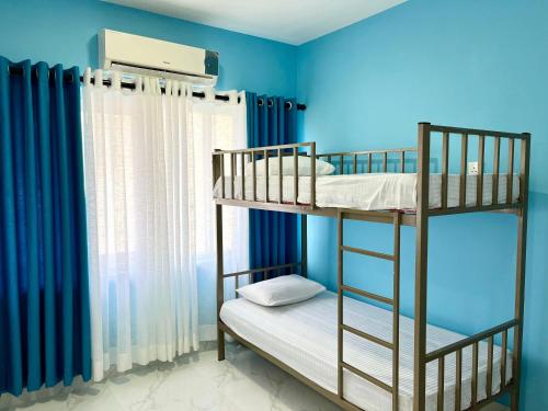 two bunk beds in a room with blue walls at Havelock City Hostel, Colombo in Colombo