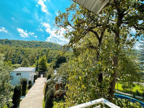 a view from the balcony of a house with a tree at Paloma Bed and Breakfast in Dilijan
