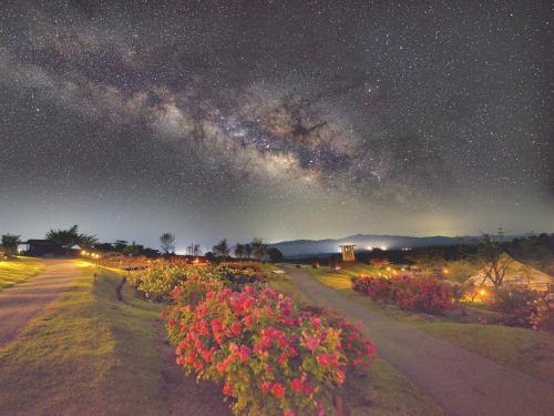 Kujuくじゅう花公園　キャンピングリゾート花と星的繁星点点的夜晚，有一片花田和银河
