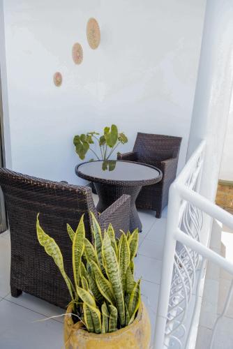 Cheap rooms in prime neighborhood