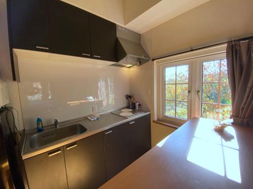 Una cocina o zona de cocina en Snowbird