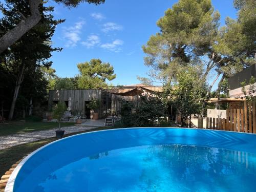une piscine bleue dans une cour arborée dans l'établissement Maison familiale en Bois - Piscine - Avignon, aux Angles (Gard)