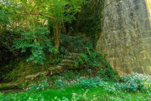 Κήπος έξω από το Le moulin a la caze