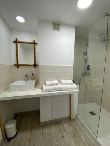 a bathroom with a sink and a shower at L'Estrambord de Camargue in Saintes-Maries-de-la-Mer