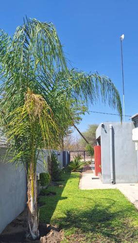 a palm tree in a yard next to a building at Villa 13 Maun in Maun