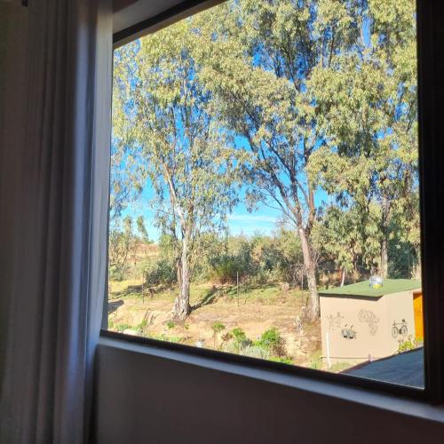a window with a view of a field and trees at The Fat Mulberry Guest Farm in Fouriesburg
