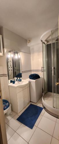 une salle de bain avec une douche, des toilettes et un lavabo dans l'établissement Studio cosy Port Camargue à 5 minutes de la plage, au Grau-du-Roi