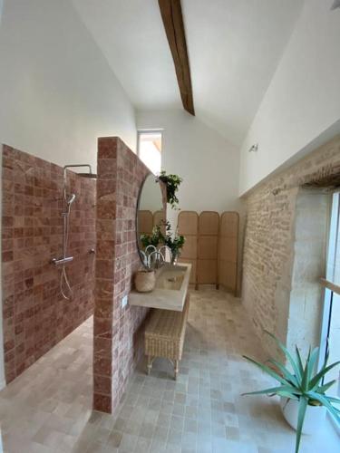 une salle de bain avec une douche, un lavabo et un miroir dans l'établissement La Maison Naturospa, à Chaumont