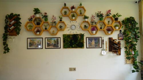a wall with a bunch of clocks and pictures at BAGUS Guest House in Legian