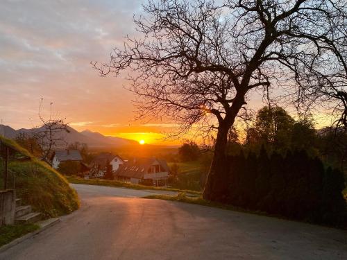 a road with a tree and the sunset in the background at Apartma Lastovka in Bled