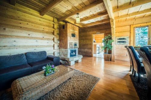 a living room with a couch and a fireplace at VisitZakopane - Willa Karina in Witów
