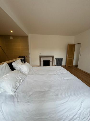 a large white bed in a room with a fireplace at La Menuiserie in Épernay
