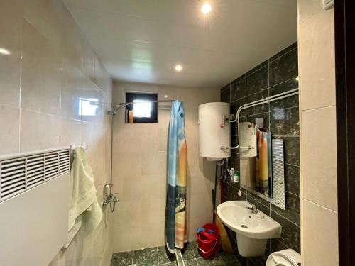 a bathroom with a sink and a shower and a toilet at St Georgi in Pamporovo