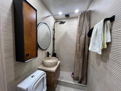 Koupelna v ubytování Уютный апартамент в сердце сабуртало