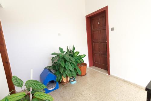 a hallway with potted plants in front of a door at Peanut House by HolidayKeys in Kérynia