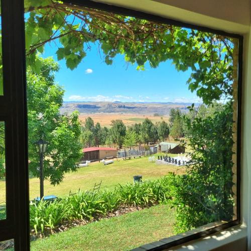 a view of a field from a window at The Fat Mulberry Guest Farm in Fouriesburg