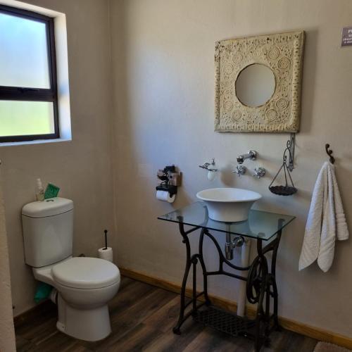 a bathroom with a toilet and a sink and a mirror at The Fat Mulberry Guest Farm in Fouriesburg