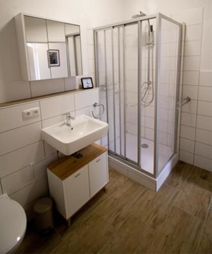 a bathroom with a sink and a shower at NEU! FeWo Märchenstube in Alsfeld