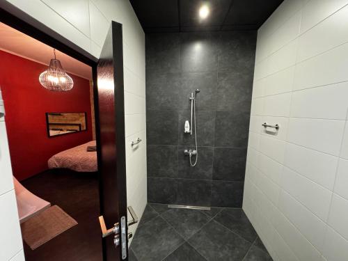 a bathroom with a shower and a walk in shower at ApartHotel Riga in Rīga