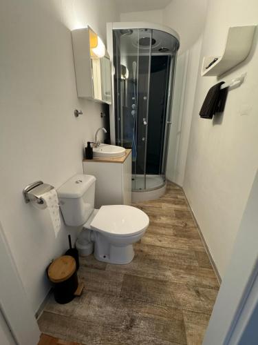 a bathroom with a toilet and a sink and a shower at Hotel Rio in Horn
