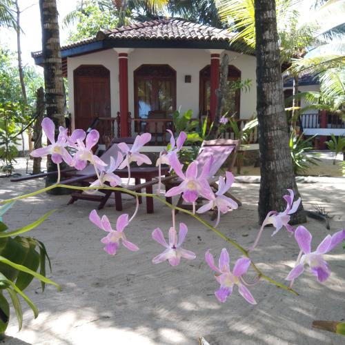 Κήπος έξω από το Patini Bungalows - Beach Garden