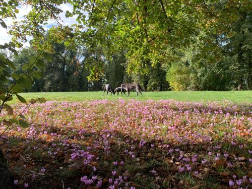 Un jardín fuera de Le Buscagneau