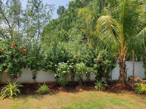 Κήπος έξω από το Siva rama garden resort& swimming pool 5star stay 3BHK room no 5 ,6,7 bheemili bech road nr