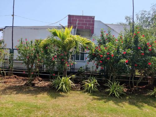 Κήπος έξω από το Sivarama garden resort 5star stay swimming pool 7BHK bheemili beach road to dorathota