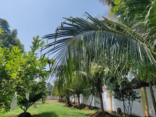 Κήπος έξω από το Sivarama garden resort 5star stay swimming pool 7BHK bheemili beach road to dorathota